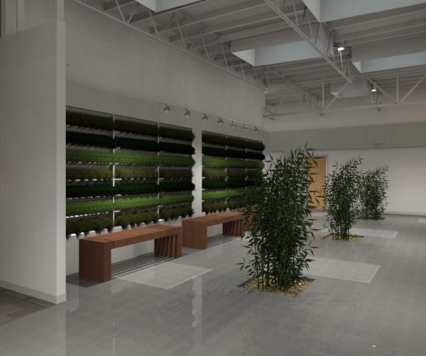 Living Plant Wall