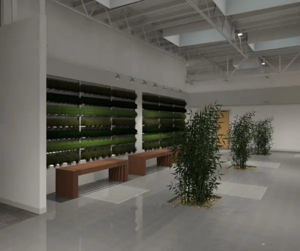 Living Plant Wall