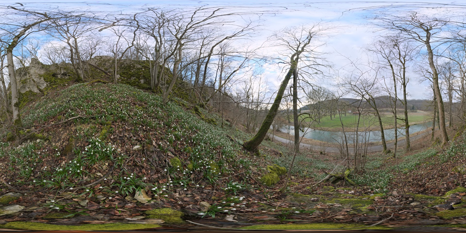 Flower Hillside