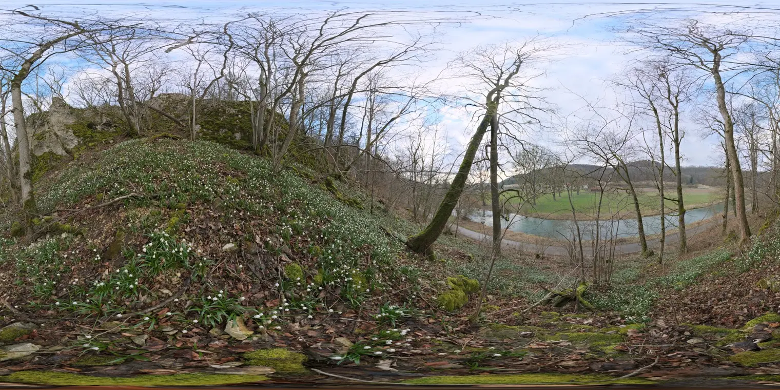 Flower Hillside