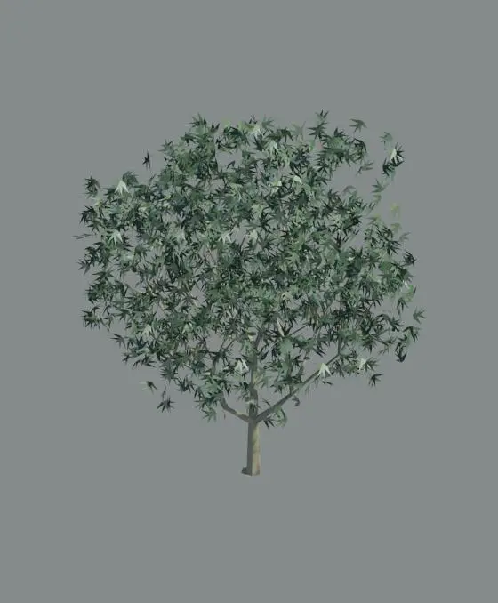 A_tree40s
