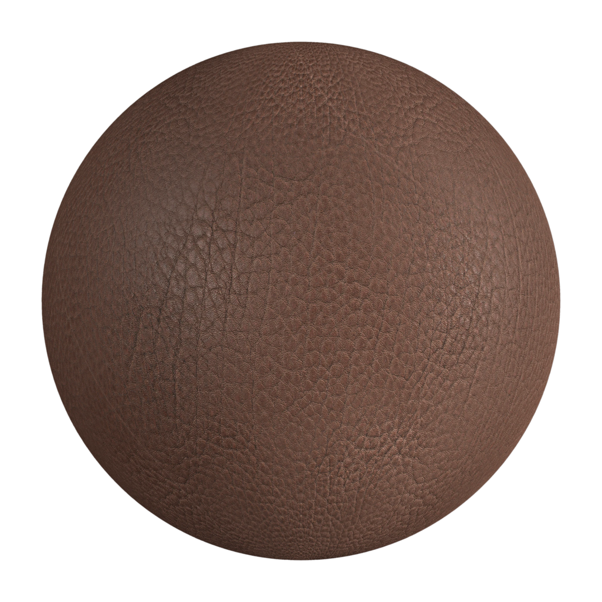 Leather 028