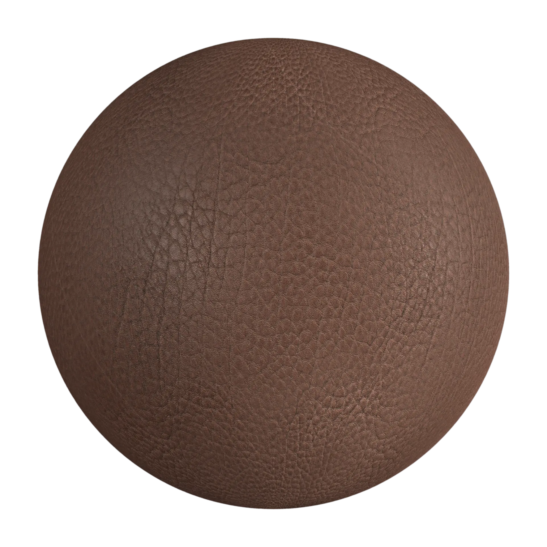 Leather 028