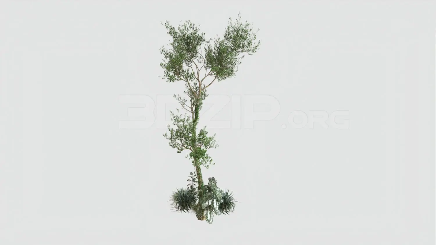 Tree — preview 1 (3dzip, CC0)