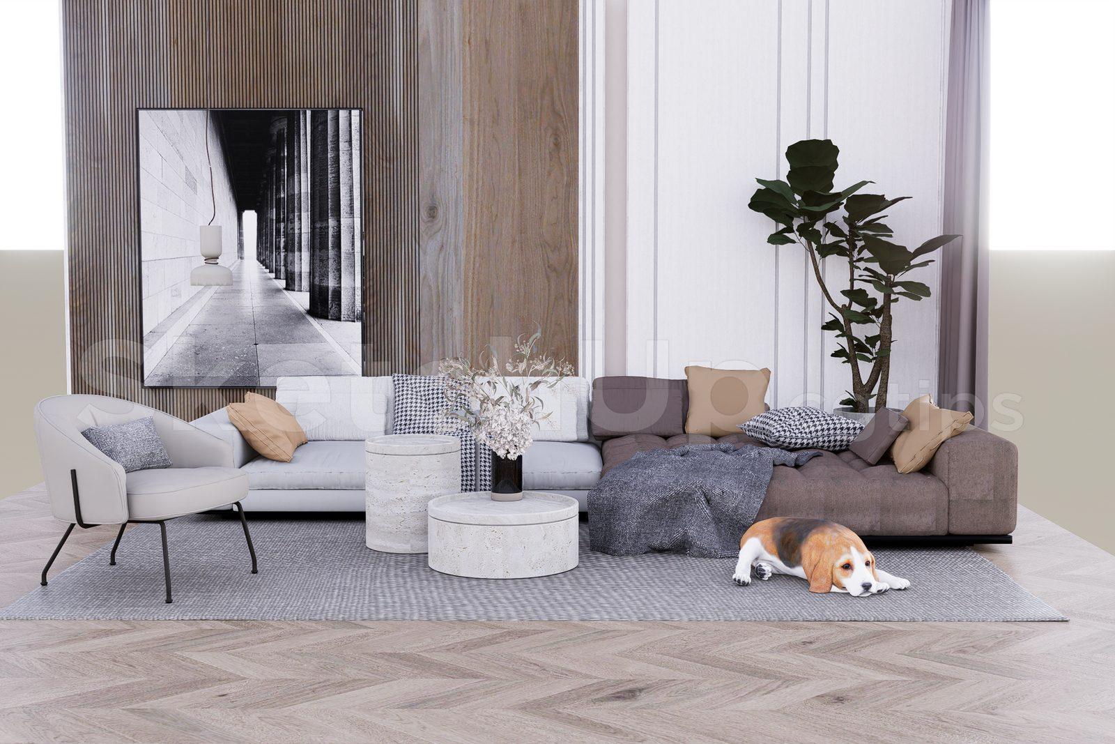Living Room Interior