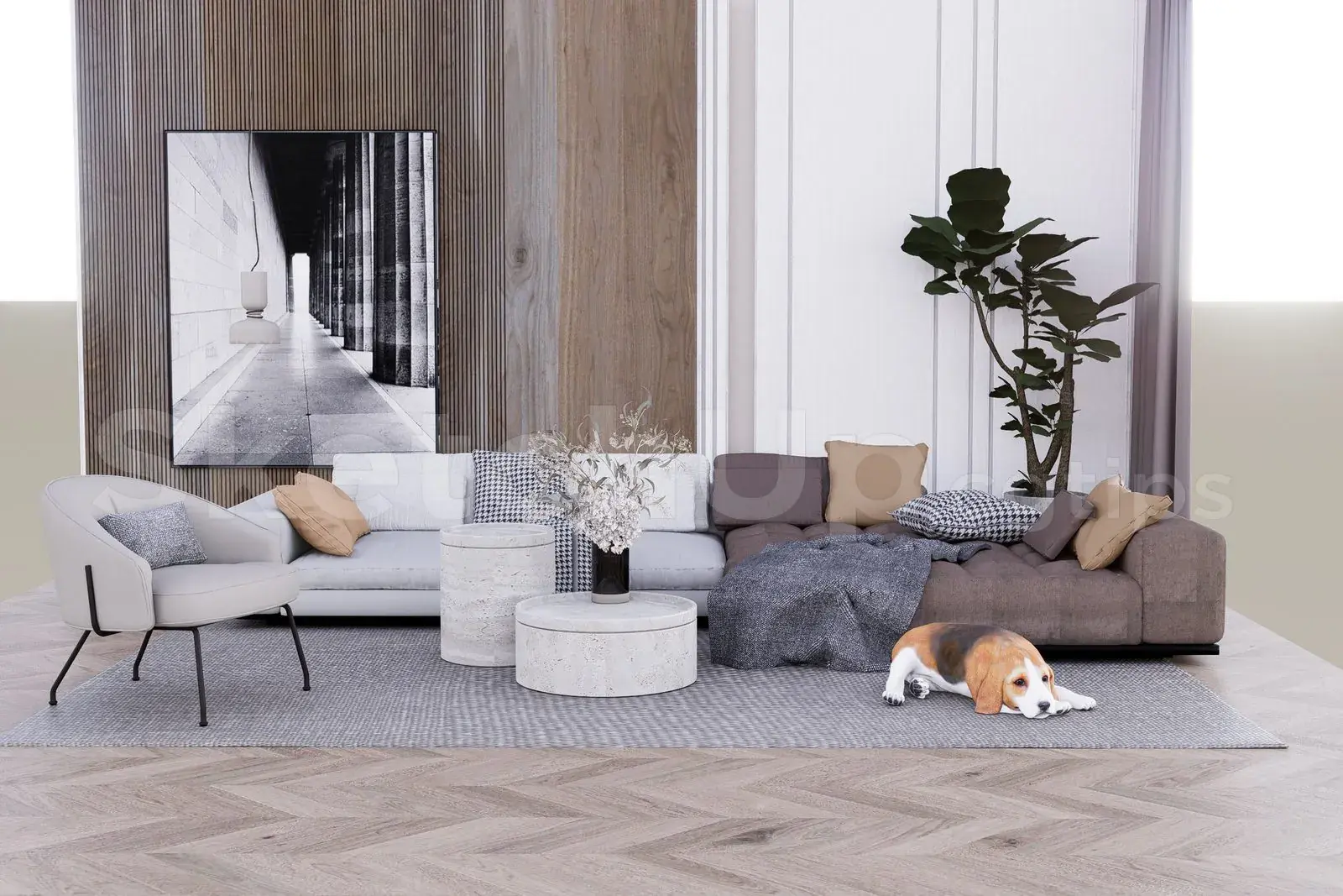 Living Room Interior