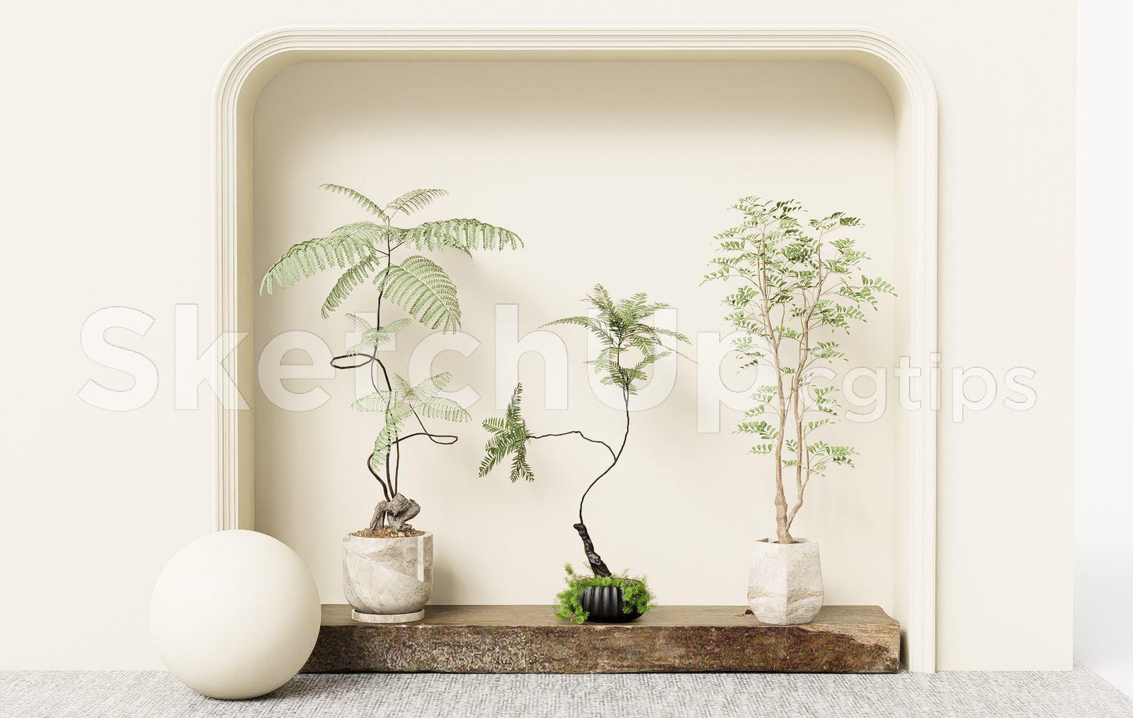 Plant