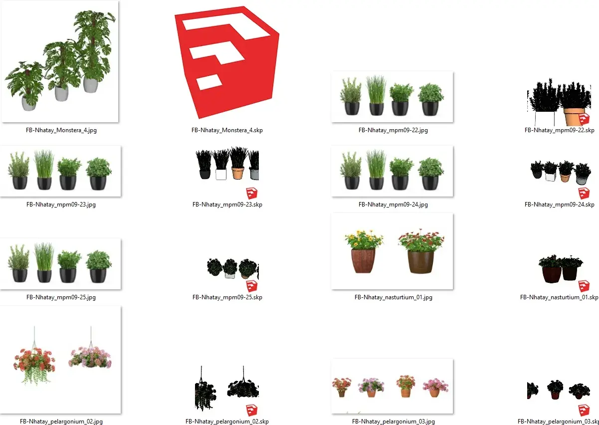 Plant