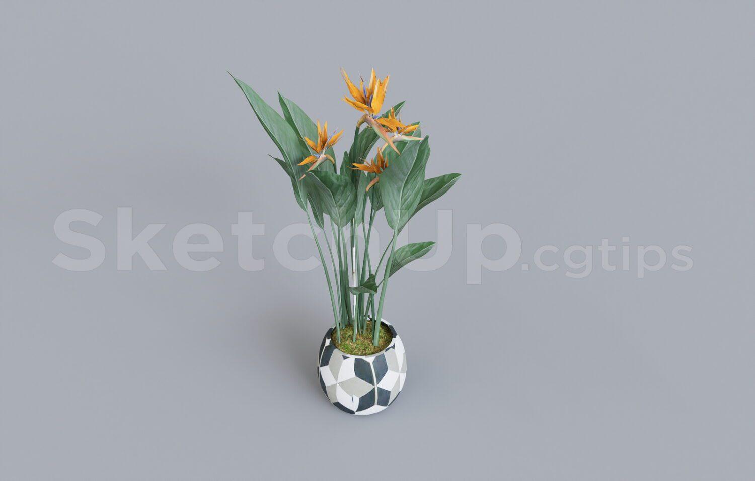 Flower