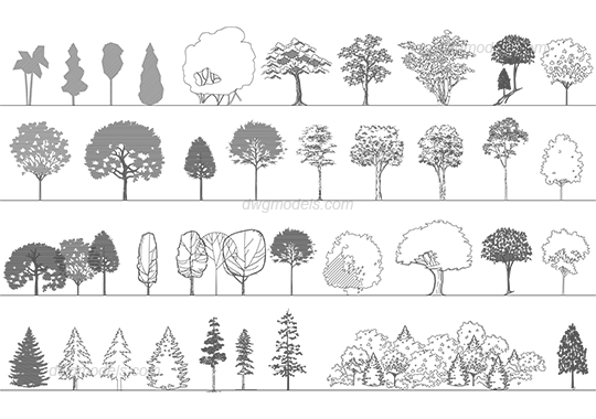 Trees 5