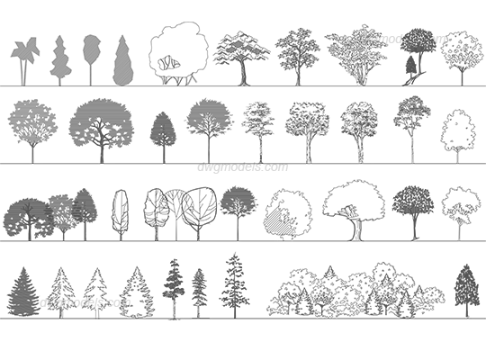 Trees 5