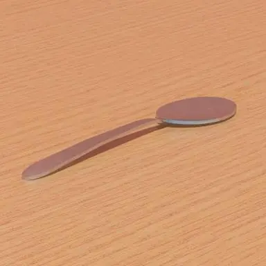 Spoon