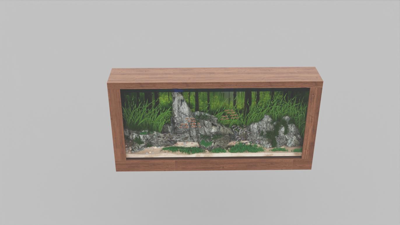 Aquarium Fish