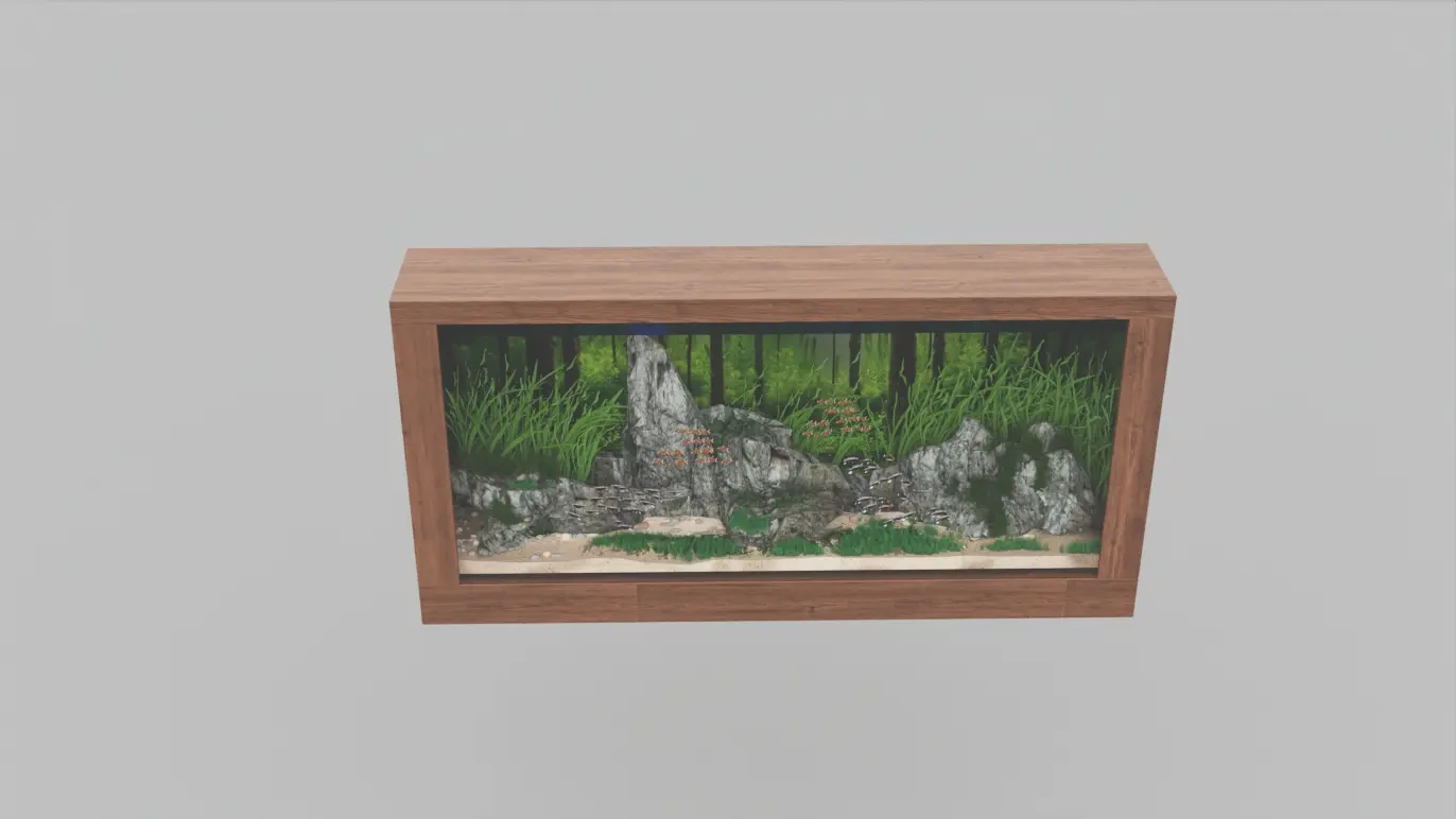 Aquarium Fish