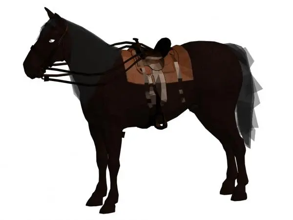 Horse Animal