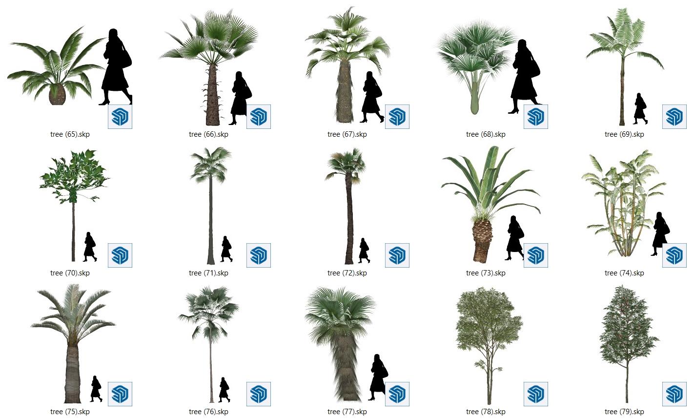 Trees