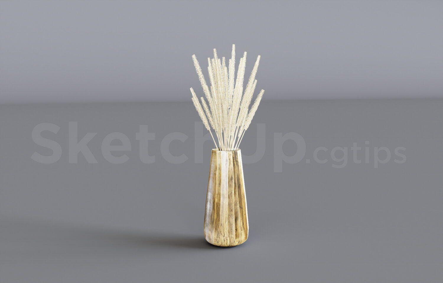 Pampas Grass