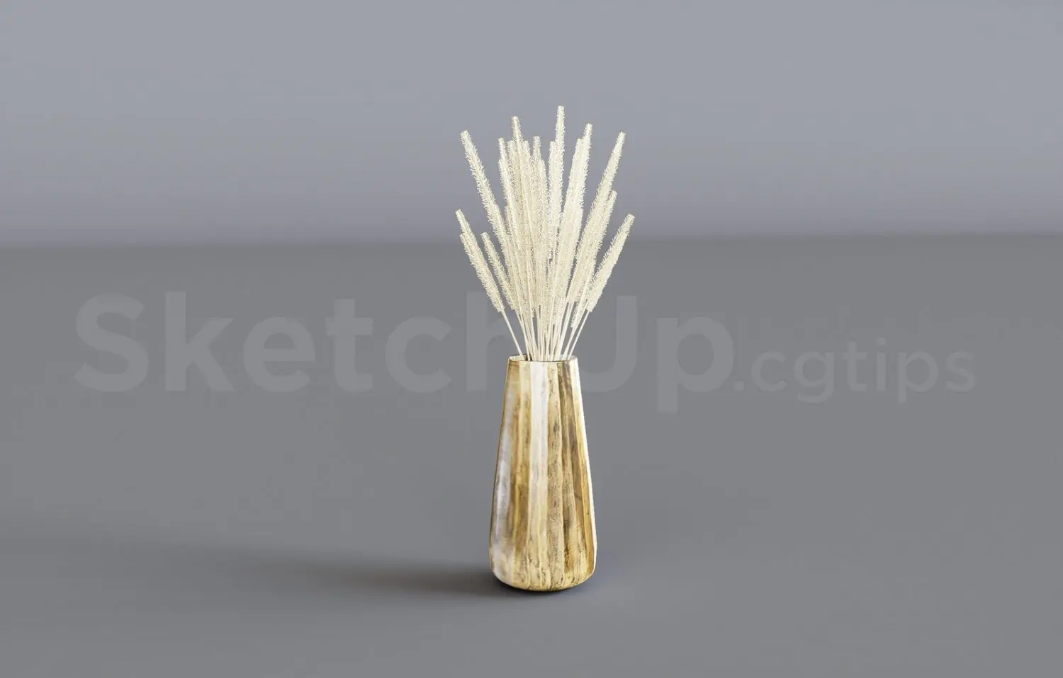 Pampas Grass