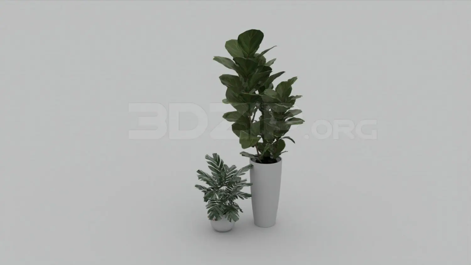 Plant — preview 1 (3dzip)