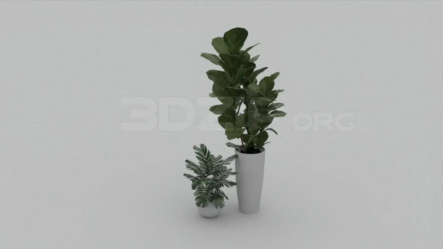 Plant