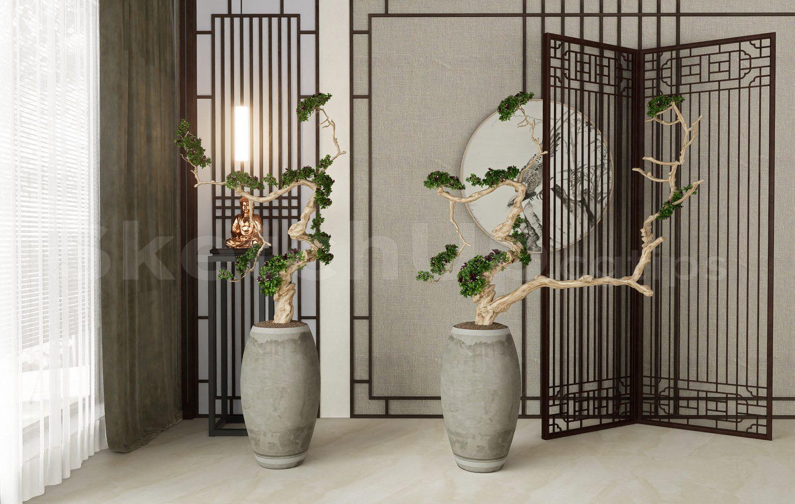 BonSai Tree