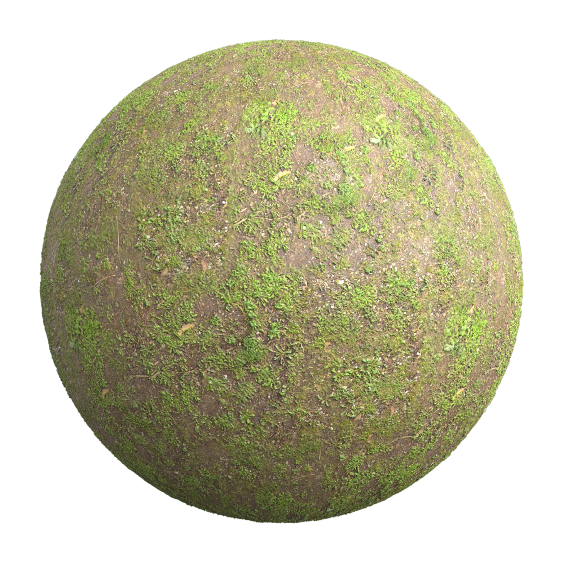 Ground 003