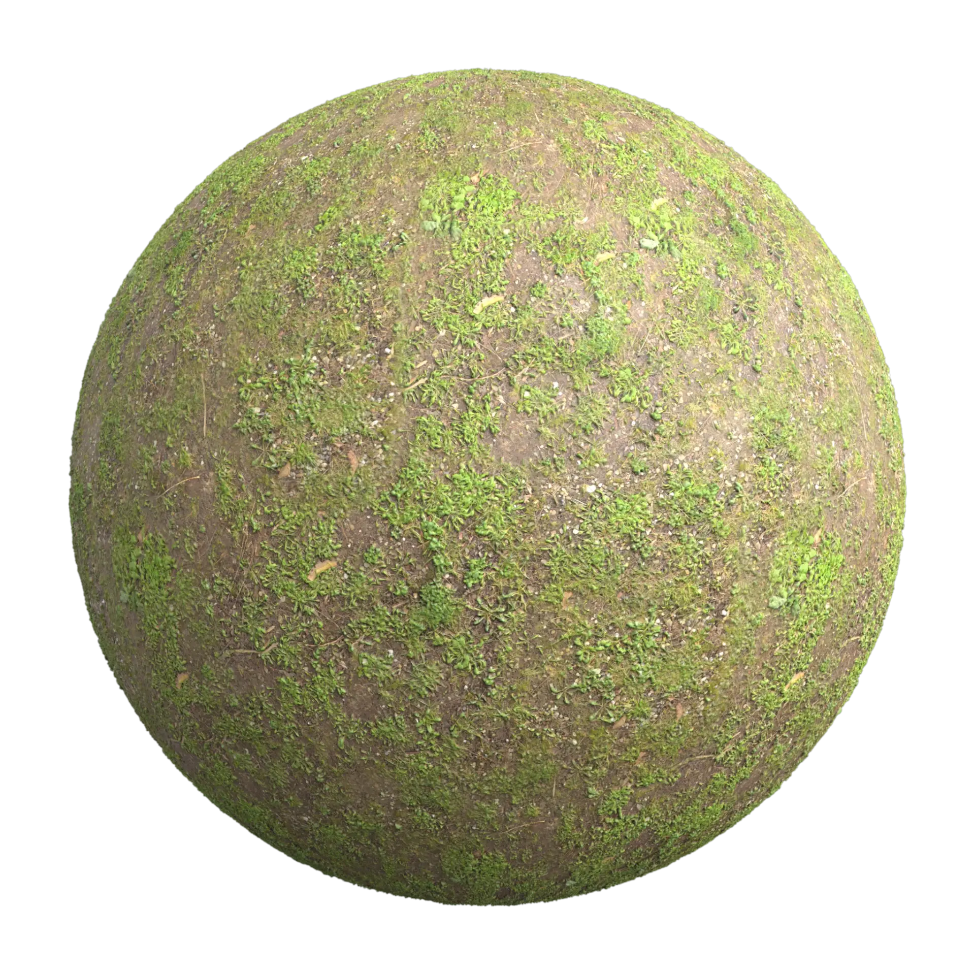 Ground 003
