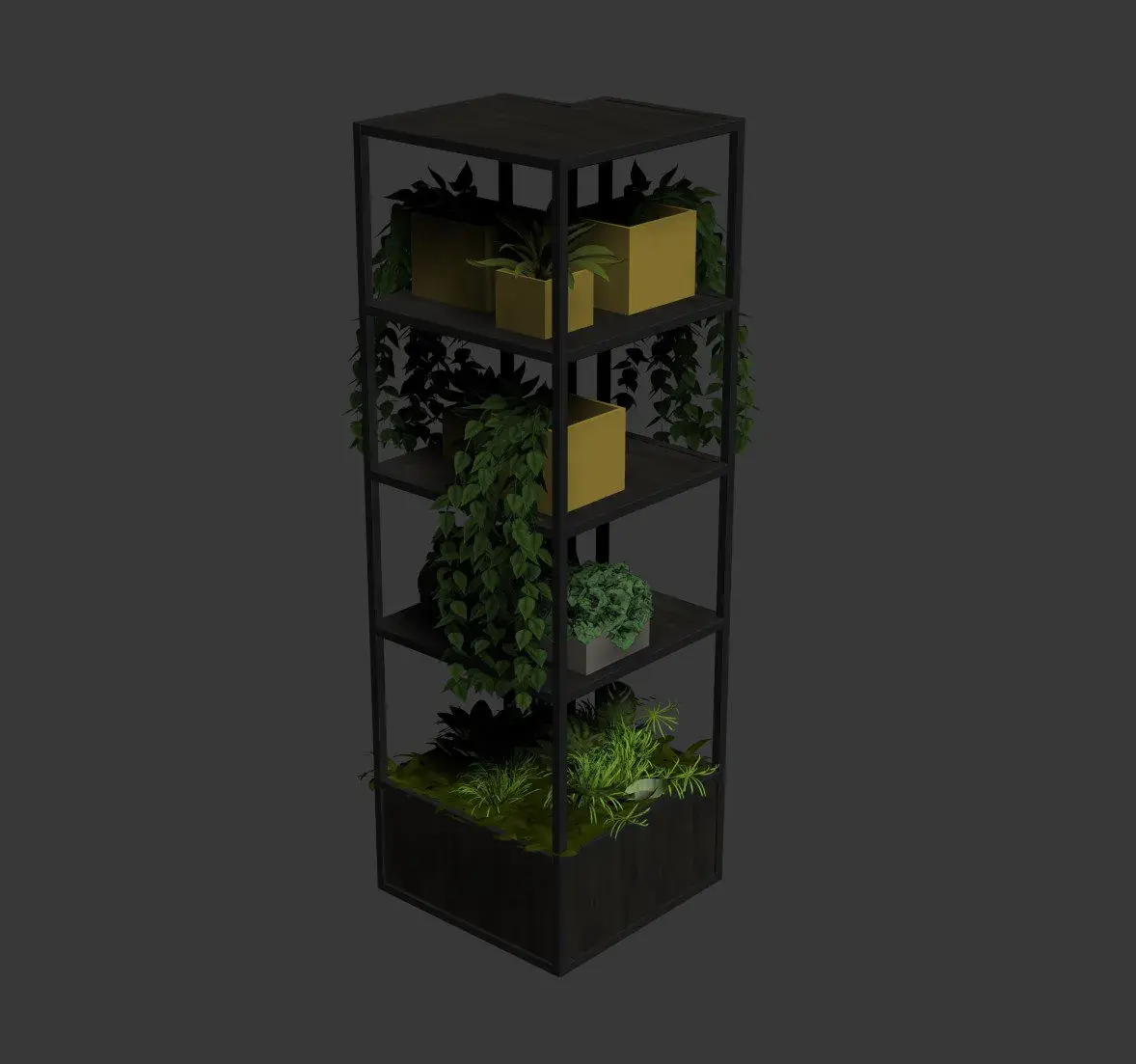 Plant