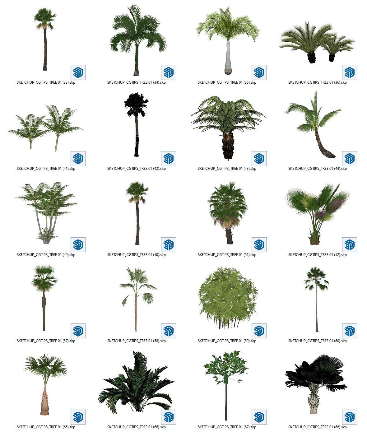 Trees