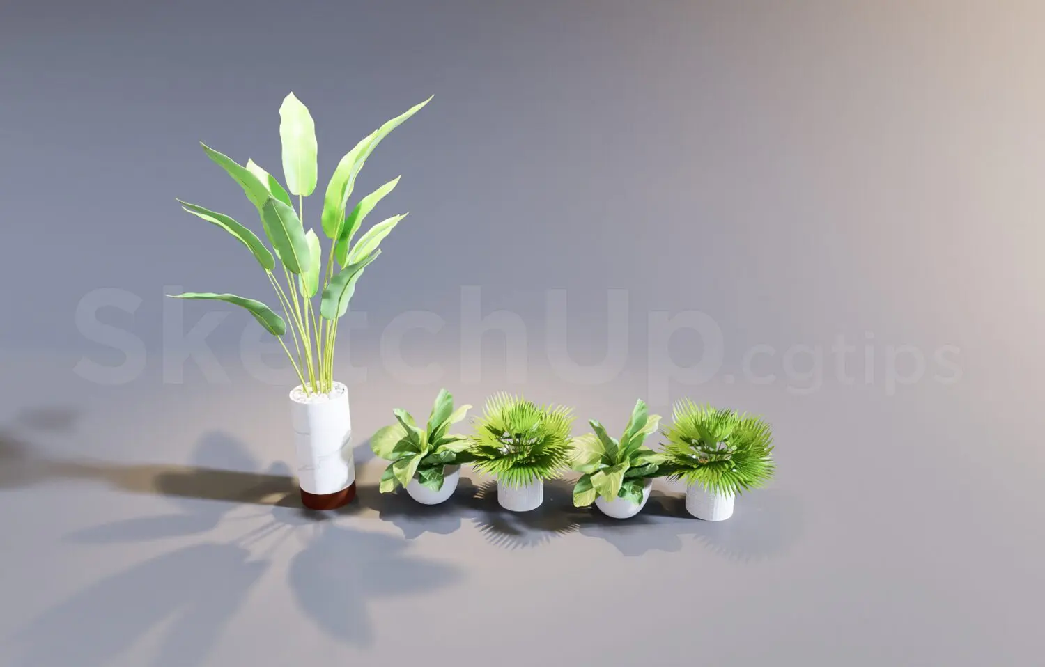 Plant — preview 1 (cgtips, CC0)
