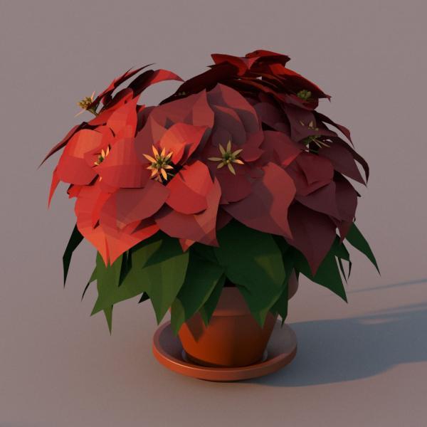 Parametric Poinsettia Plant