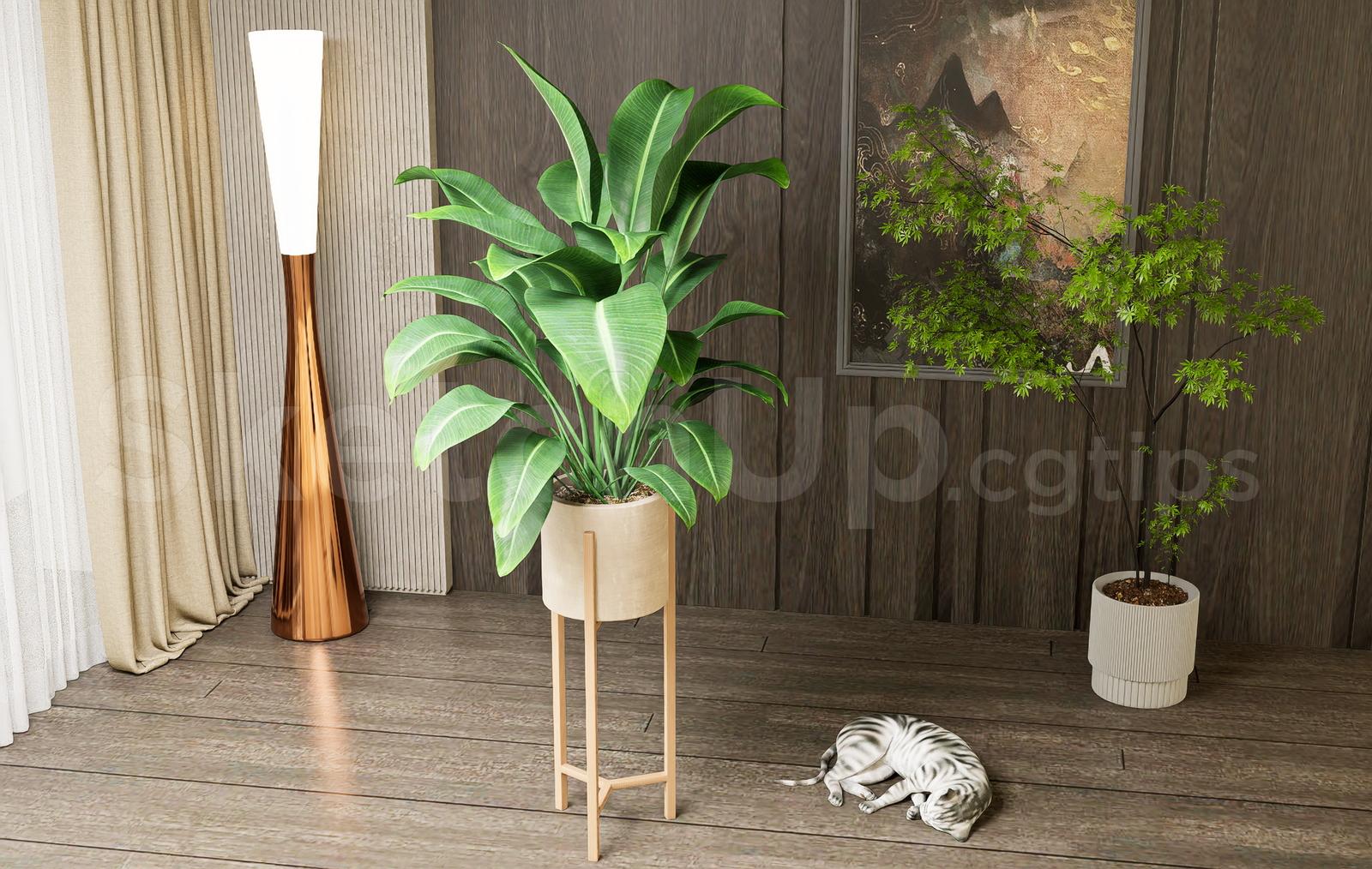 Plant