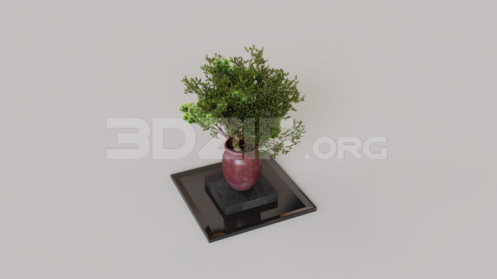 Plant