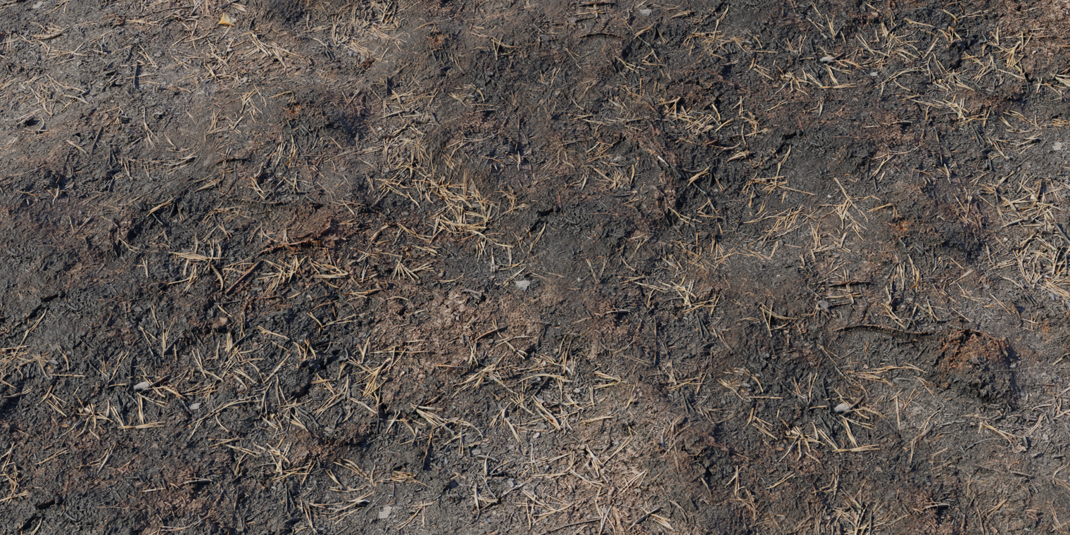 Burned Ground 1