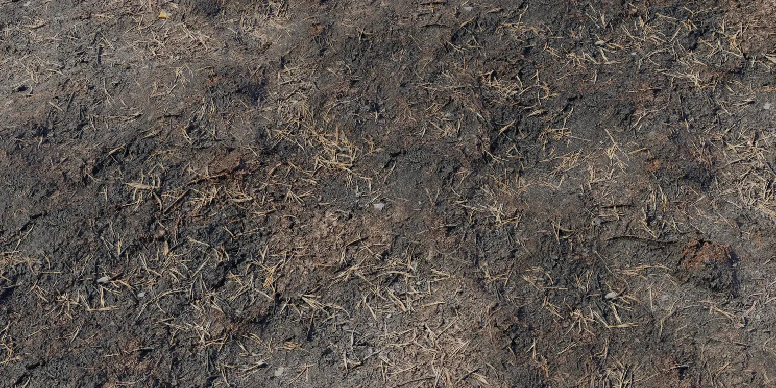 Burned Ground 1