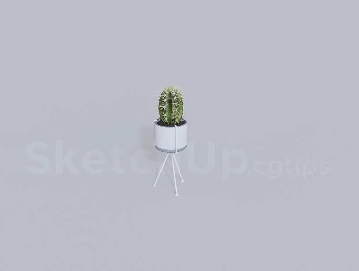 Plant