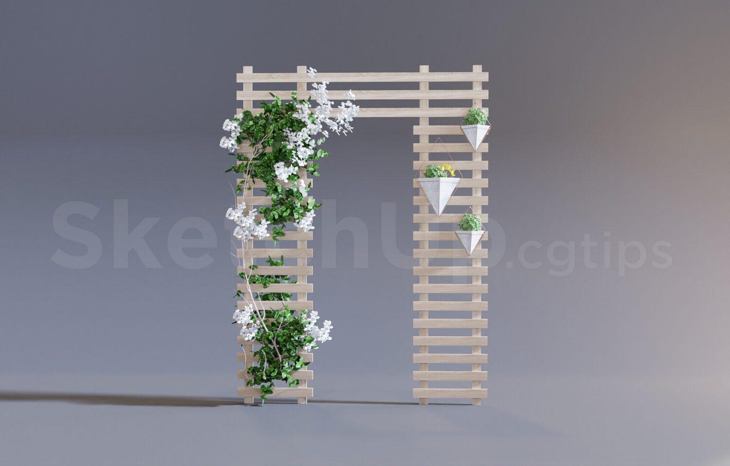 Plant
