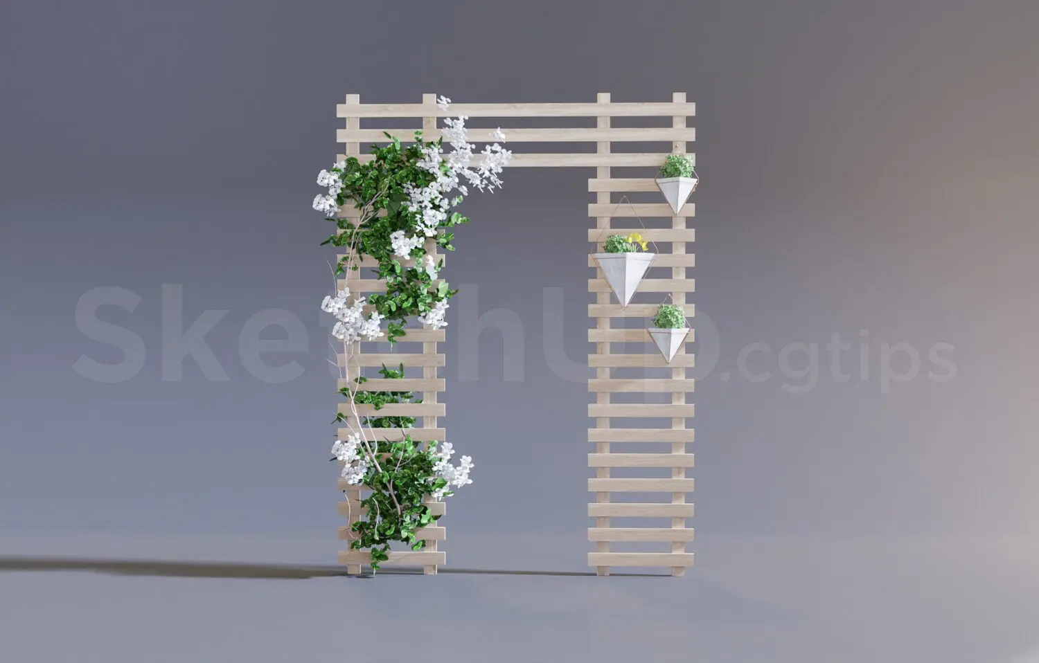 Plant