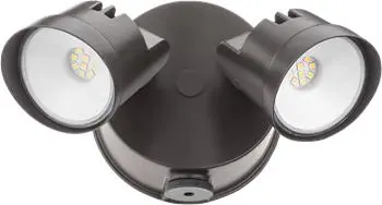 Security Flood Light