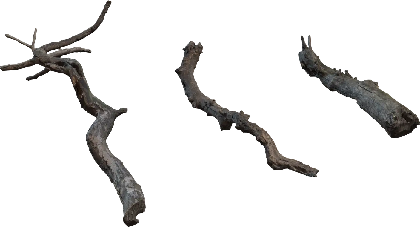 Dry Branches Medium 1