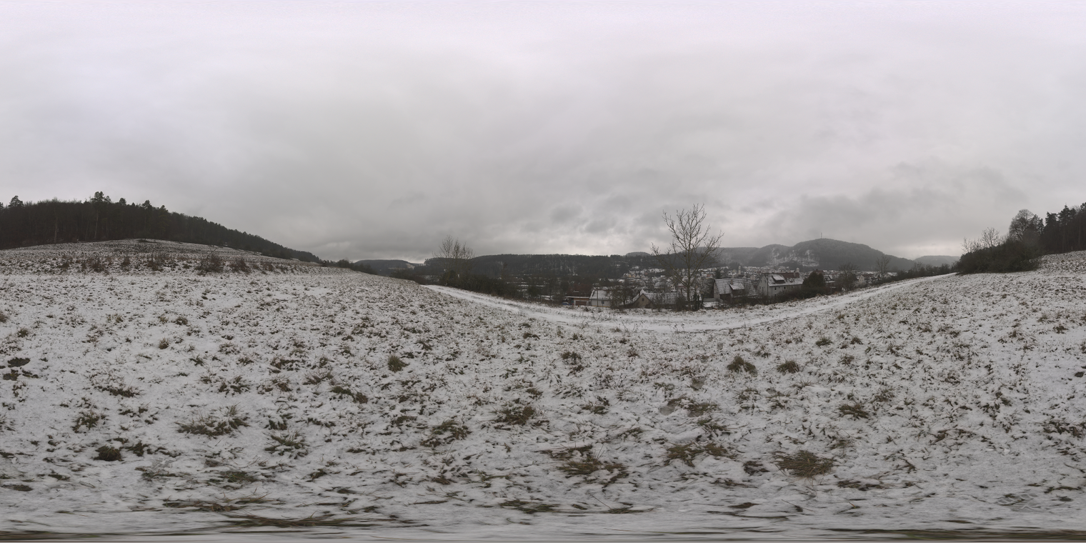 Snowy Hillside 2