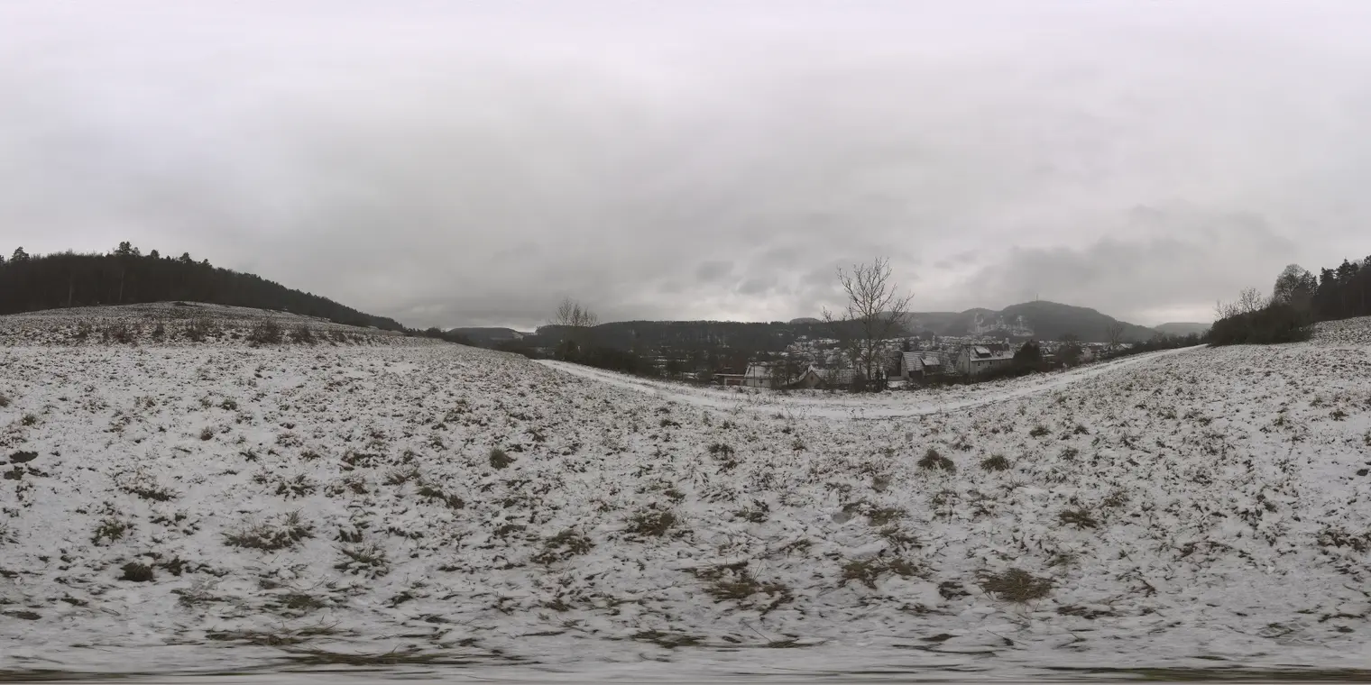 Snowy Hillside 2