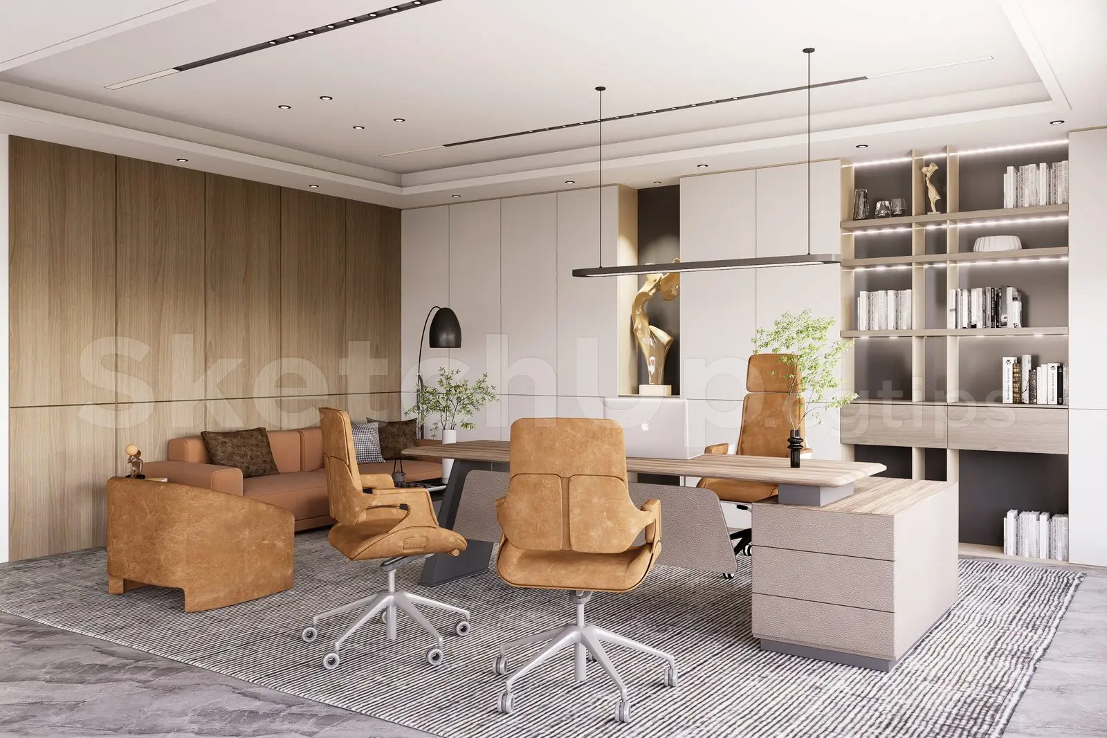 Director Office Interior