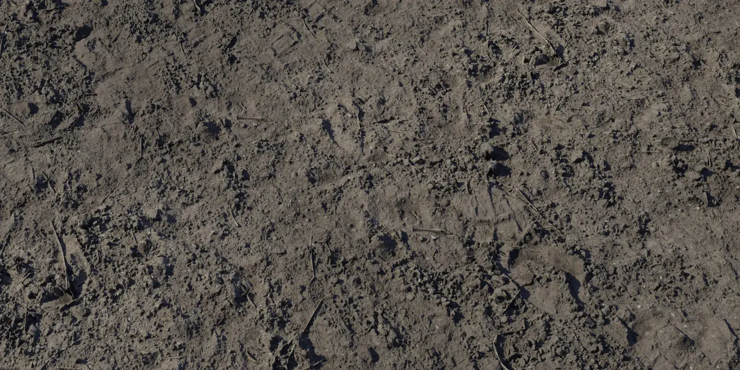 Brown Mud