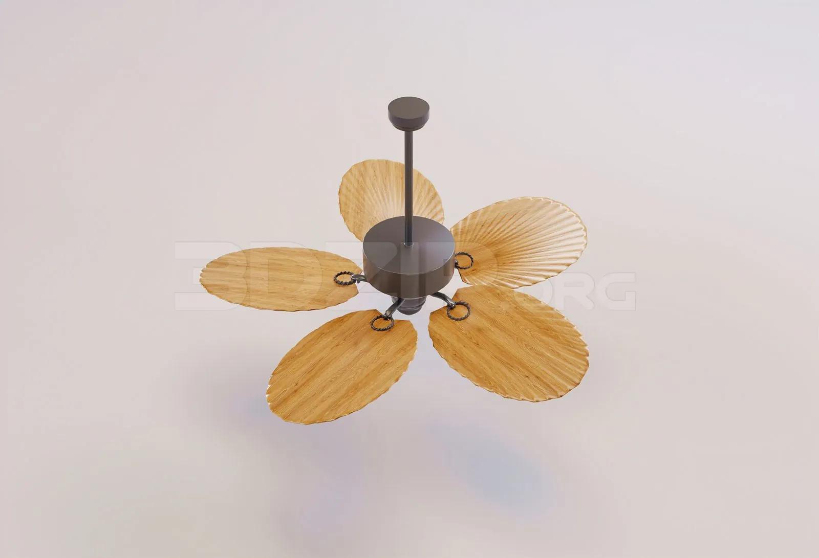 Ceiling Fans