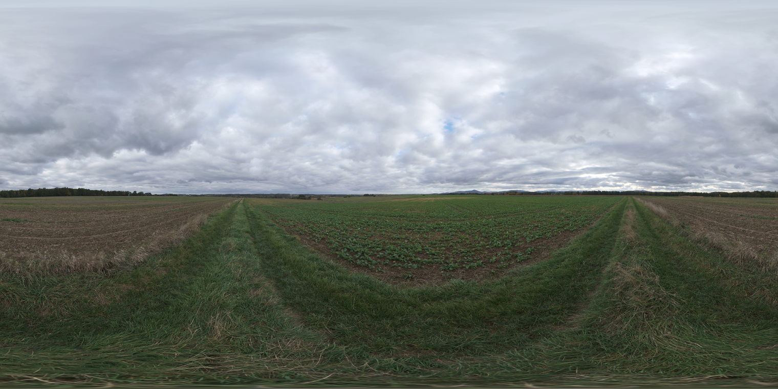 Farmland Overcast