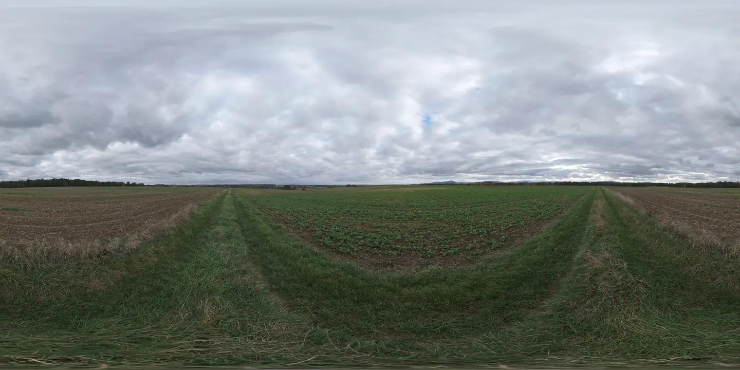 Farmland Overcast