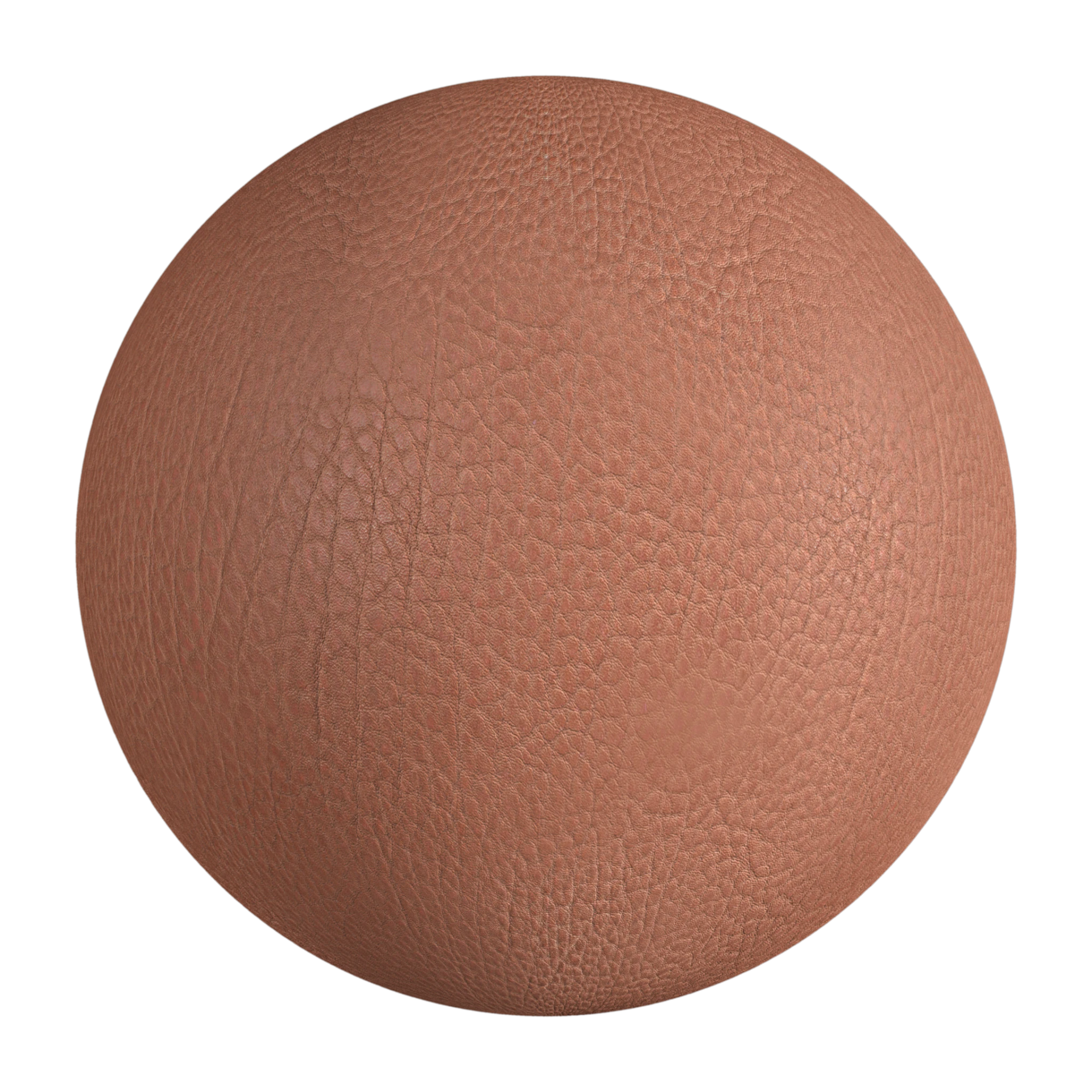 Leather 029