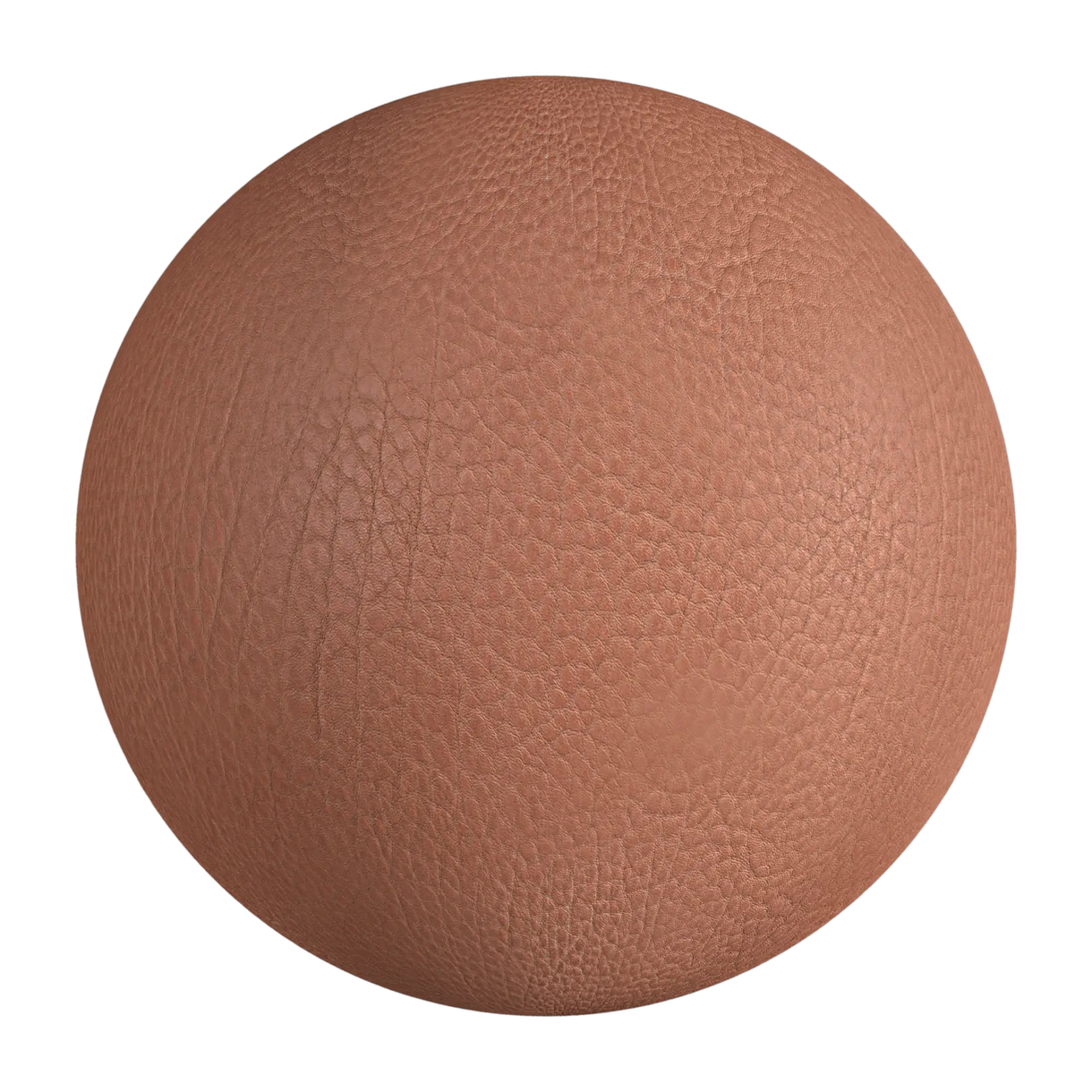 Leather 029