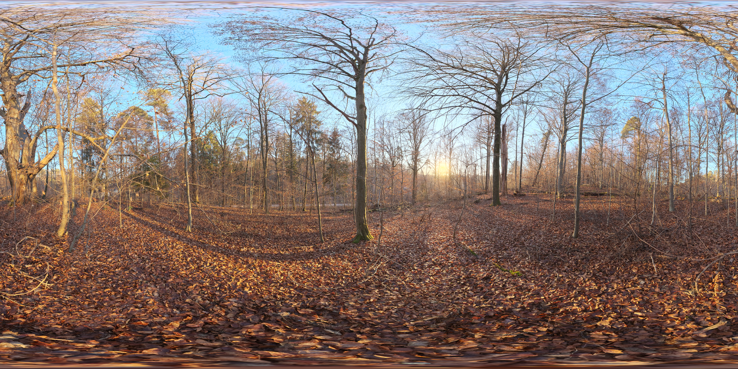 Autumn Forest 4